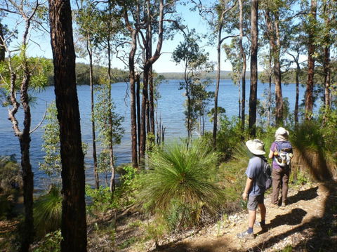 Wellington Discovery Forest - Accommodation Melbourne 0