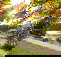 Wentworth Falls Lake - Accommodation Melbourne