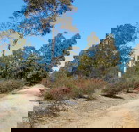Werakata National Park - Accommodation Melbourne