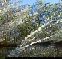 Wongi State Forest - Accommodation Melbourne