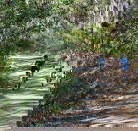 Andersons Trail - Accommodation Melbourne