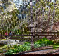 Armadale - Accommodation Melbourne