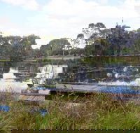 Baldwin Swamp Environmental Park - Accommodation Melbourne