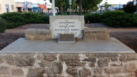 Barmera Horse Trough - Accommodation Melbourne 0