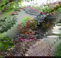 Black Dragon Gardens Wulong Yuan - Accommodation Melbourne