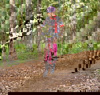 Bom Bom State Forest Mountain Bike Trails - Accommodation Melbourne