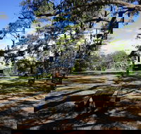 Bowen Mountain Park - Accommodation Melbourne