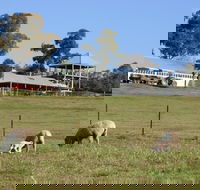 Calmsley Hill City Farm - Accommodation Melbourne