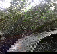 Carole Green Walkway - John Oxley Reserve - Accommodation Melbourne