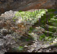 Cave Creek Walking Track - Accommodation Melbourne
