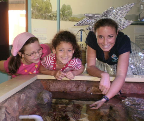 Central Coast Marine Discovery Centre - Accommodation Melbourne 0