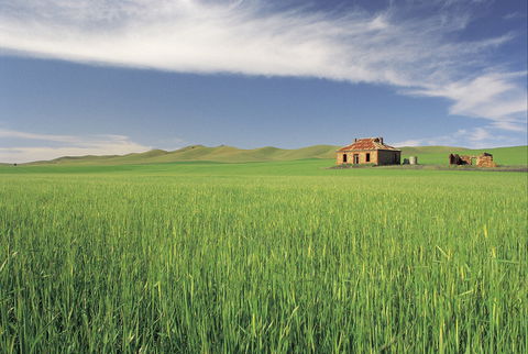 Clare Valley - Accommodation Melbourne 1