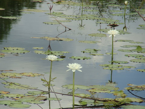 Djukbinj National Park - Accommodation Melbourne 1