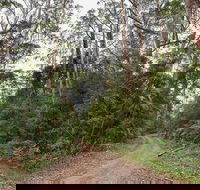 End Peak walking track - Accommodation Melbourne