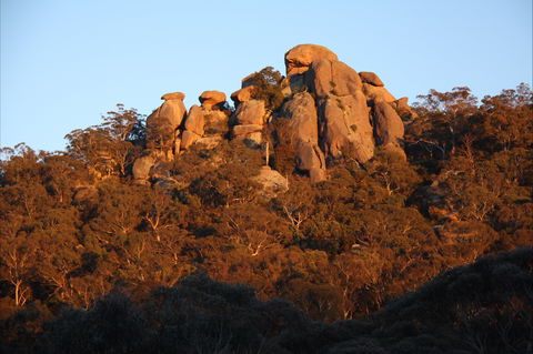 Evans Crown Nature Reserve - Accommodation Melbourne 0