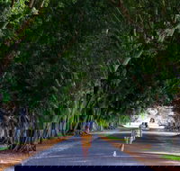 Fig Tree Avenue - Accommodation Melbourne