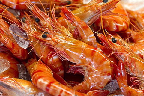 Fish And Fowl - Accommodation Melbourne 0