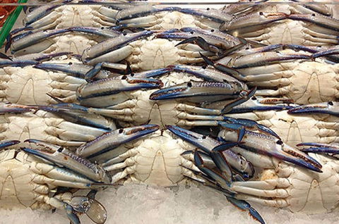 Fish And Fowl - Accommodation Melbourne 1