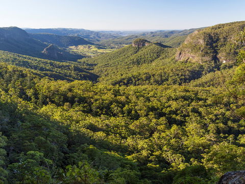 Gold Coast Hinterland Great Walk - Accommodation Melbourne 0