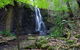 Gold Coast Hinterland Great Walk - thumb 1
