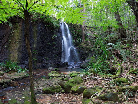 Gold Coast Hinterland Great Walk - Accommodation Melbourne 1