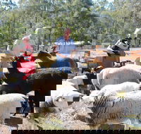 Haigslea EWE Nique Hobby Farm - Accommodation Melbourne