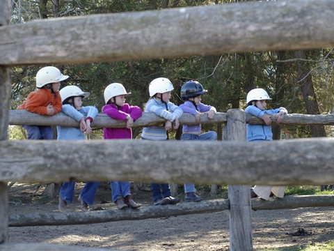Harlow Park Horse Riding - Accommodation Melbourne 0