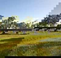 Katherine Railway Trestle Bridge - Accommodation Melbourne