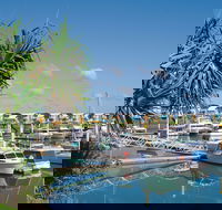 Keppel Bay Fishing Adventure - Accommodation Melbourne