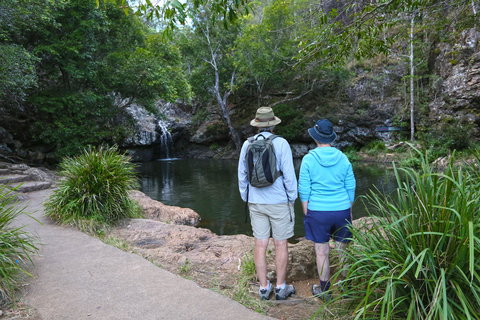 Kondalilla Falls Circuit, Kondalilla National Park - Accommodation Melbourne 1