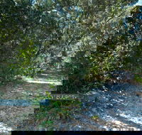 Lillypilly loop trail - Accommodation Melbourne