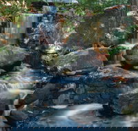 Mackay Regional Botanic Gardens - Accommodation Melbourne