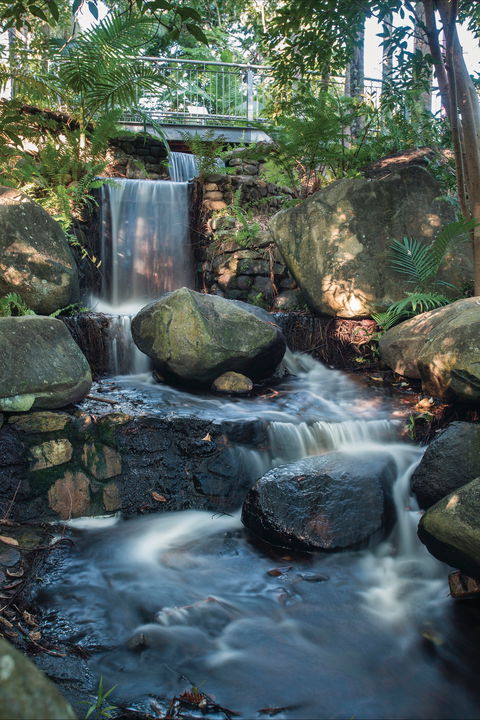 Mackay Regional Botanic Gardens - Accommodation Melbourne 0