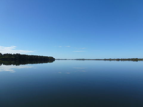 Manning River - Accommodation Melbourne 0