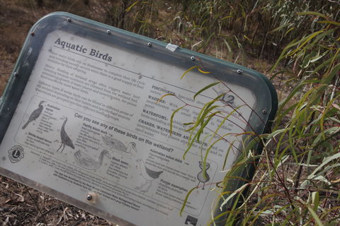 Martin Bend Wetland And Walking Trail - Accommodation Melbourne 2