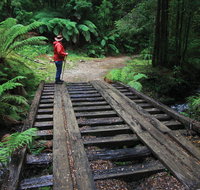 Montezuma Falls - Accommodation Melbourne
