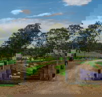 Moorebank Vineyard - Accommodation Melbourne