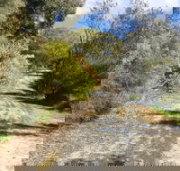 Naracoorte North Nature Park - Accommodation Melbourne