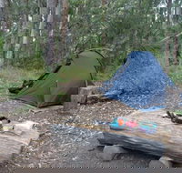 Northbrook Mountain Bush Camp - Accommodation Melbourne