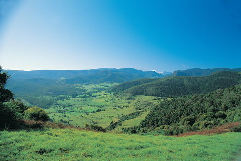 Numinbah Section, Springbrook National Park - Accommodation Melbourne 0
