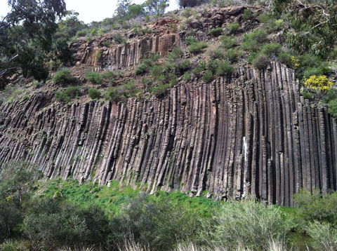 Organ Pipes National Park - Accommodation Melbourne 1