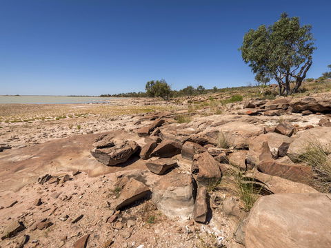 Peery Lake Picnic Area - Accommodation Melbourne 0