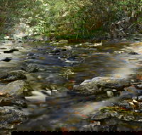 Plateau Circuit Loop Trail - Accommodation Melbourne