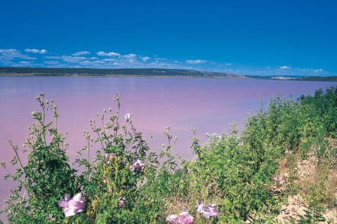 Port Gregory - Accommodation Melbourne 0