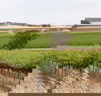 Smidge Wines Tasting Room - Accommodation Melbourne
