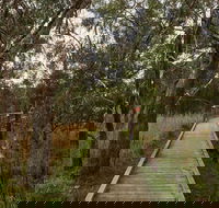 The Briars Park Walking Trails - Accommodation Melbourne