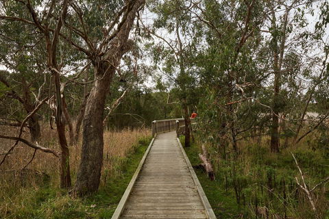 The Briars Park Walking Trails - Accommodation Melbourne 0