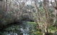 The Briars Park Walking Trails - thumb 2