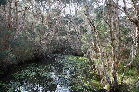 The Briars Park Walking Trails - Accommodation Melbourne 2