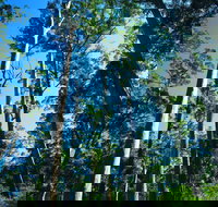 The Four Aces - Accommodation Melbourne